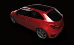 Seat Bocanegra 2008 года
